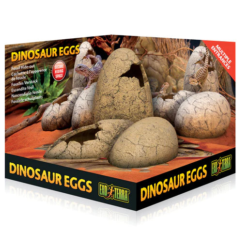 Exoterra Escondite Huevos Dinosaurio