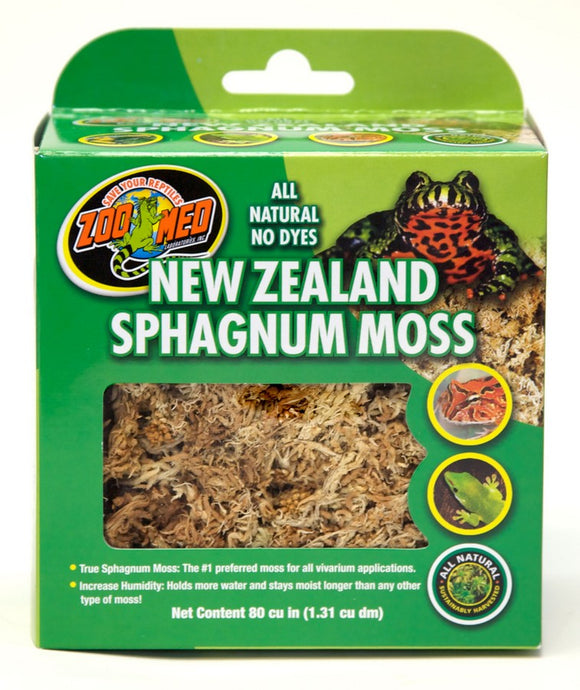 Zoomed New Zealand Sphagnum Moss