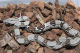 Boa Colombiana Nominal 100% Het VPI Macho ID R7-14