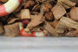 Falsa Coral de Honduras Tricolor Albino Hembra ID R1-03 Juv/Ad