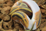 Piton Bola Pied Hypo Macho ID R17-04