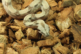 Boa Colombiana Hypo  100% Het Anery 50% Het Albino Khal Macho ID R2-12