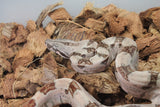 Boa Colombiana Hypo pos Jungle Het Anery 50% Het ALbino Khal Macho ID R11-16