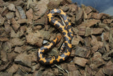 Boa Kenyana de Arena Het Anery Paint Macho RC-25