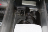 Rey Negra Mexicana (Lampropeltis Getula Nigritra) ID RC-42