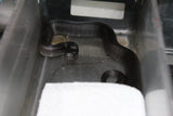 Rey Negra Mexicana (Lampropeltis Getula Nigritra) ID RC-42