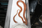 Serpiente del Maiz (Maicera) Tessera ID RC-08