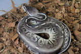 Piton Bola Pewter GHI Het Genetic Stripe Hembra ID R11-17