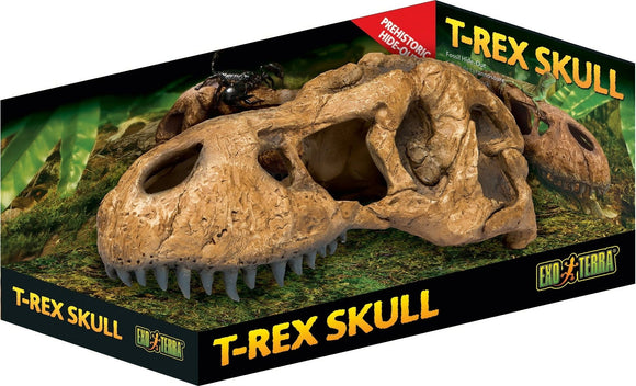 Exo Terra Craneo T-Rex Large