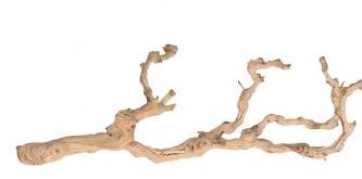 Tronco / Raiz Madera de Vid Lijado Mediano